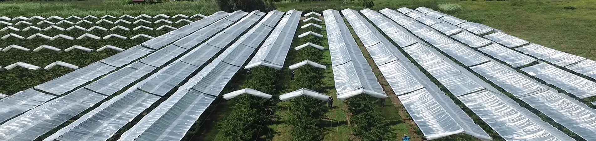 Producten