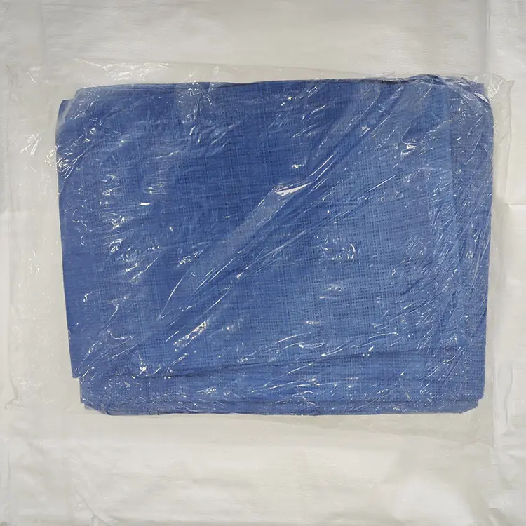 60 g Blue PE Tarpaulin