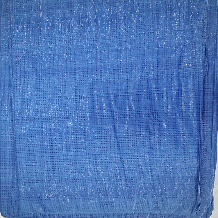 60 g Blue PE Tarpaulin