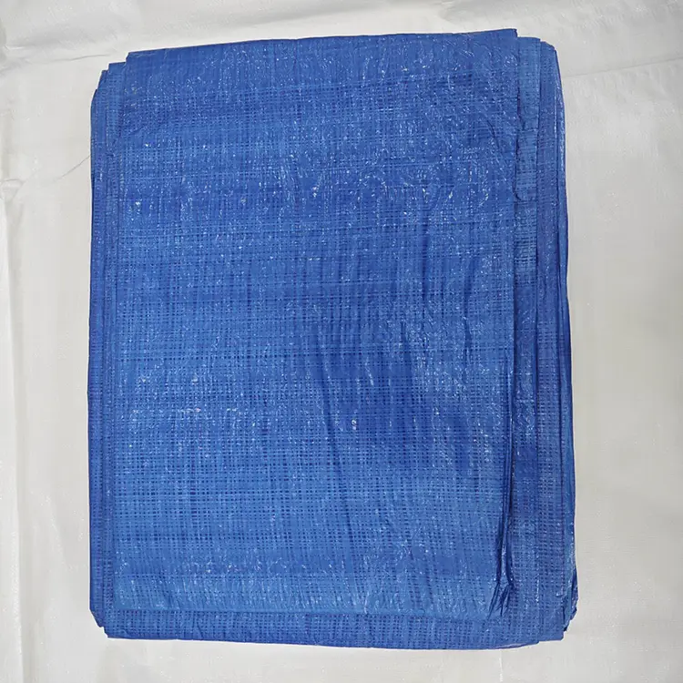 60 g Blue PE Tarpaulin