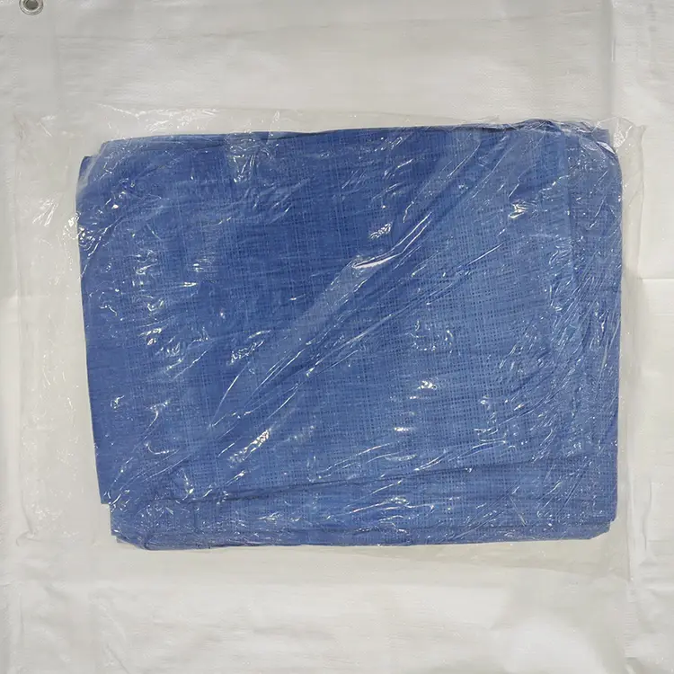 60 g Blue PE Tarpaulin
