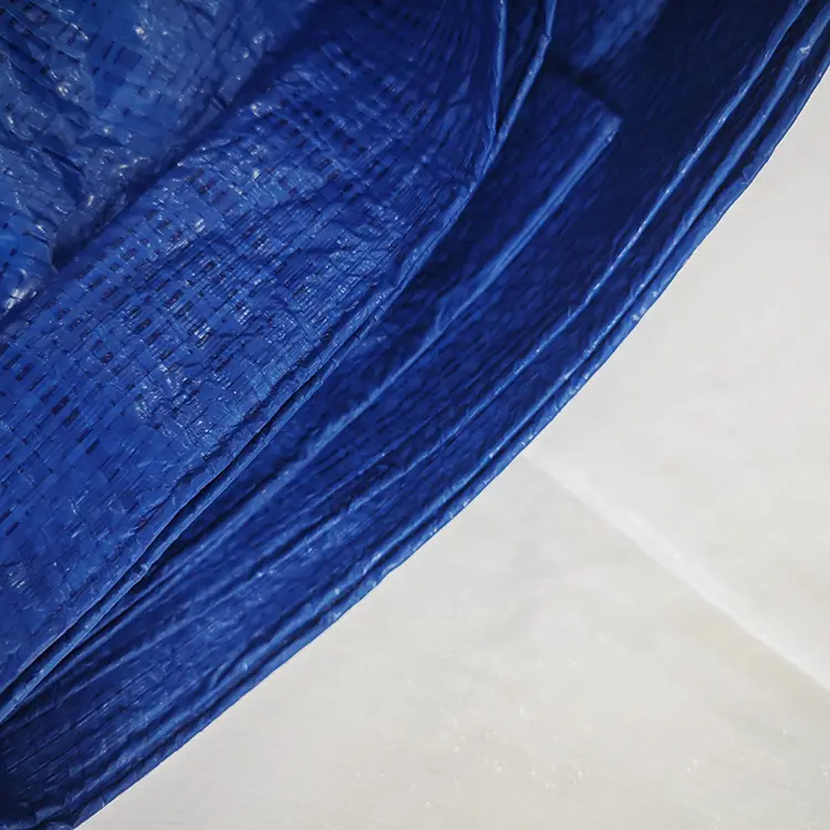 60 g Blue PE Tarpaulin
