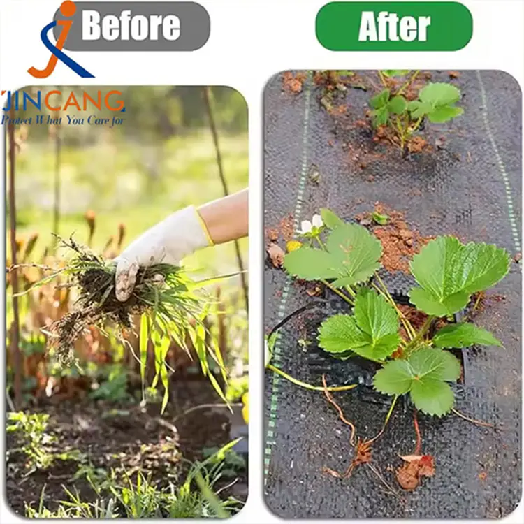 Geotextiel gras barrière zwarte onkruid barrièremat